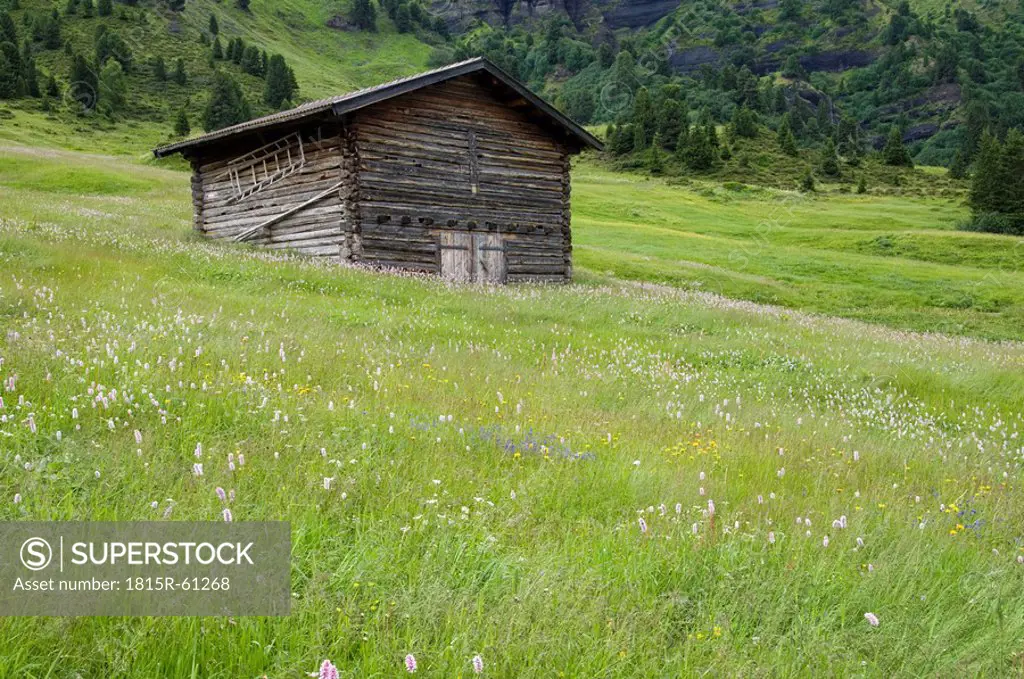 Italy, South Tyrol, Barn in field