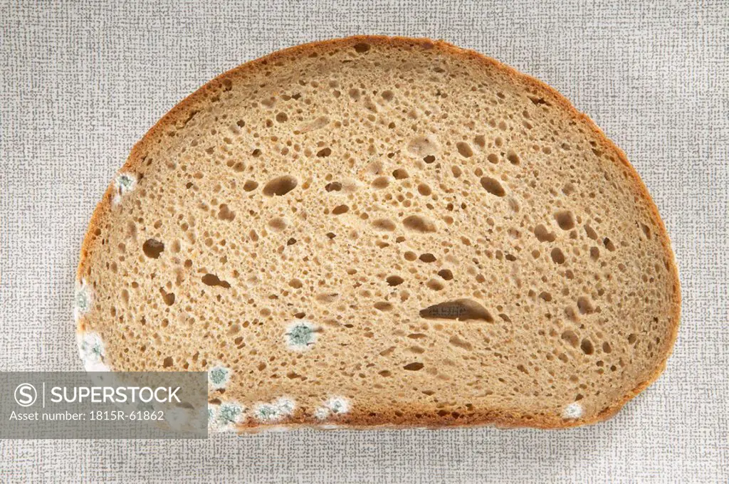 Slice of bread with mould, close_up