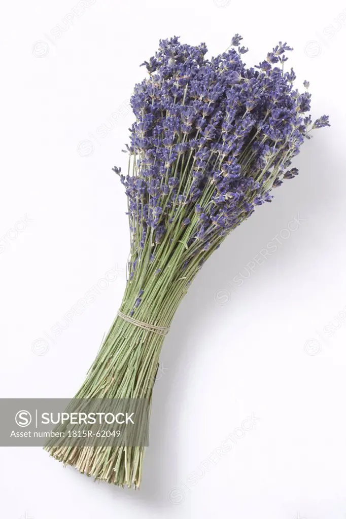 Dried Lavender Bunch, elevated view