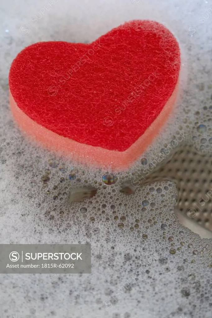 Heart_shaped sponge, close up