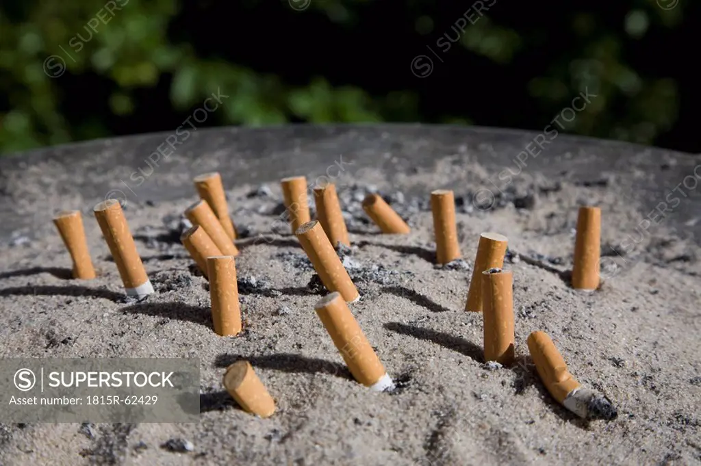Aschtray, cigarettes buds in sand, close up
