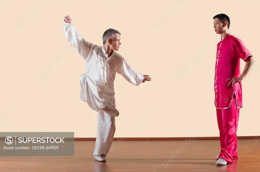 Kung Fu, Tixi liangquan, Two men doing kung_fu moves