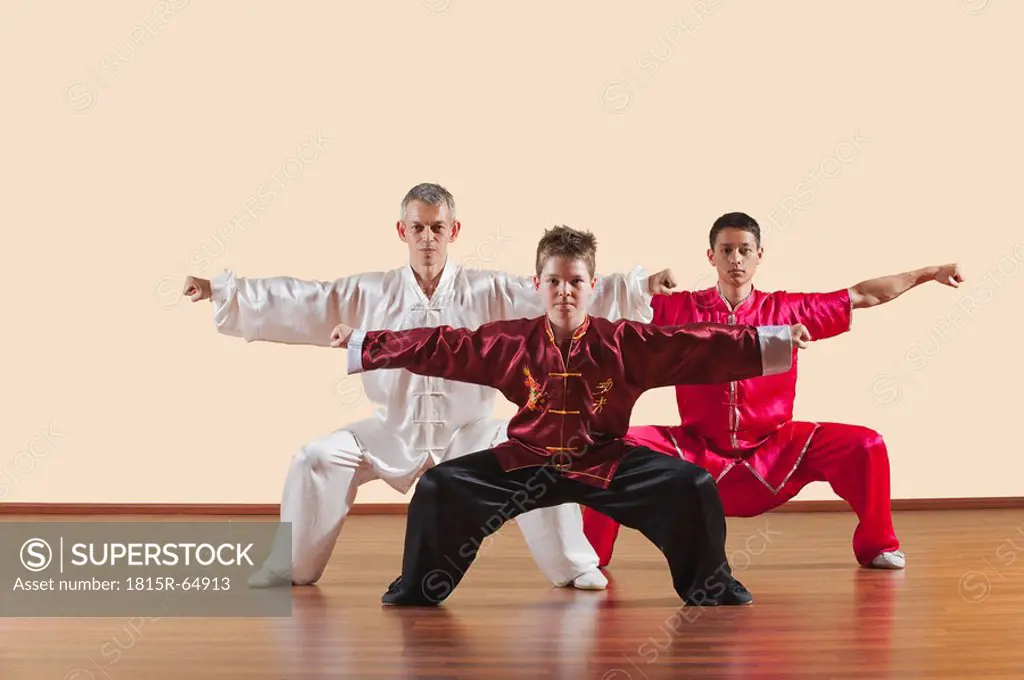 Kung Fu, Changquan, Mabu shuang chongquan, Long Fist Style, Persons practicing martial arts