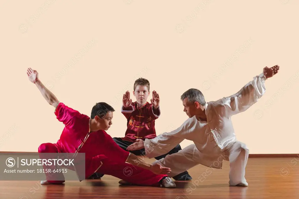 Kung Fu, Changquan, Pubu cuanzhang, Mabu shuang tuizhang, Long Fist Style, Persons practicing martial arts