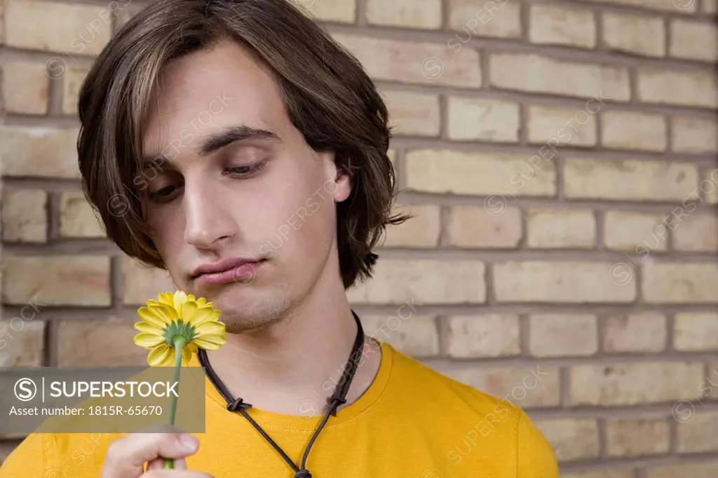 Germany, Berlin, Young man in front of brick wall holding flower, portrait, close_up