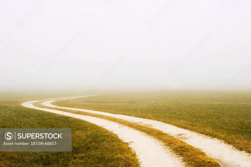 Austria, field path and fog
