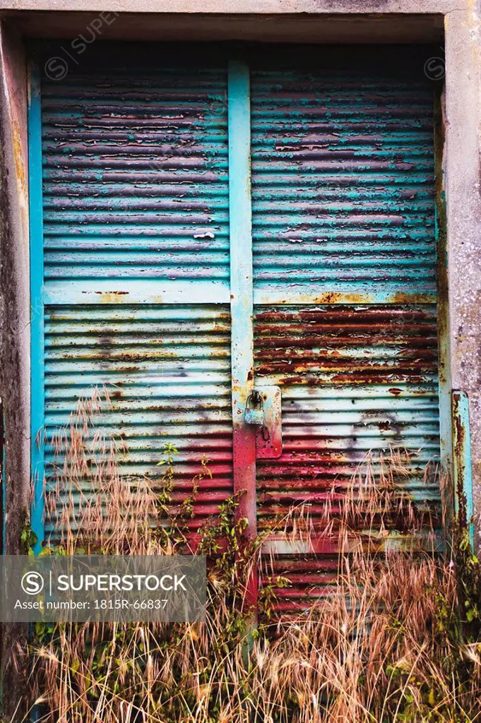 Rusty metal door, weeds in foreground