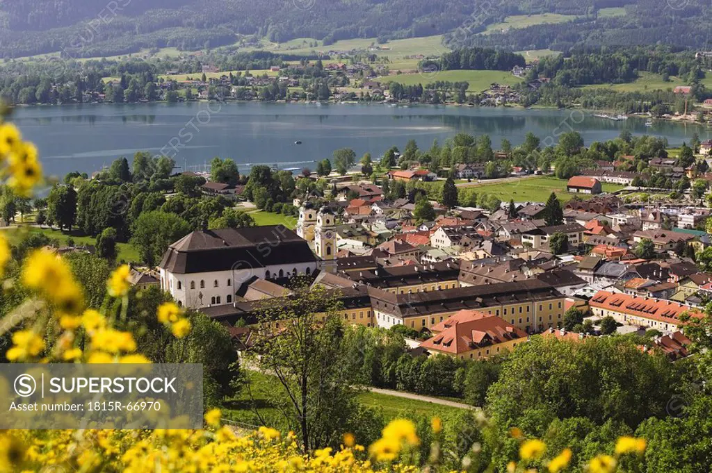 Austria, Salzkammergut, Mondsee village and lake