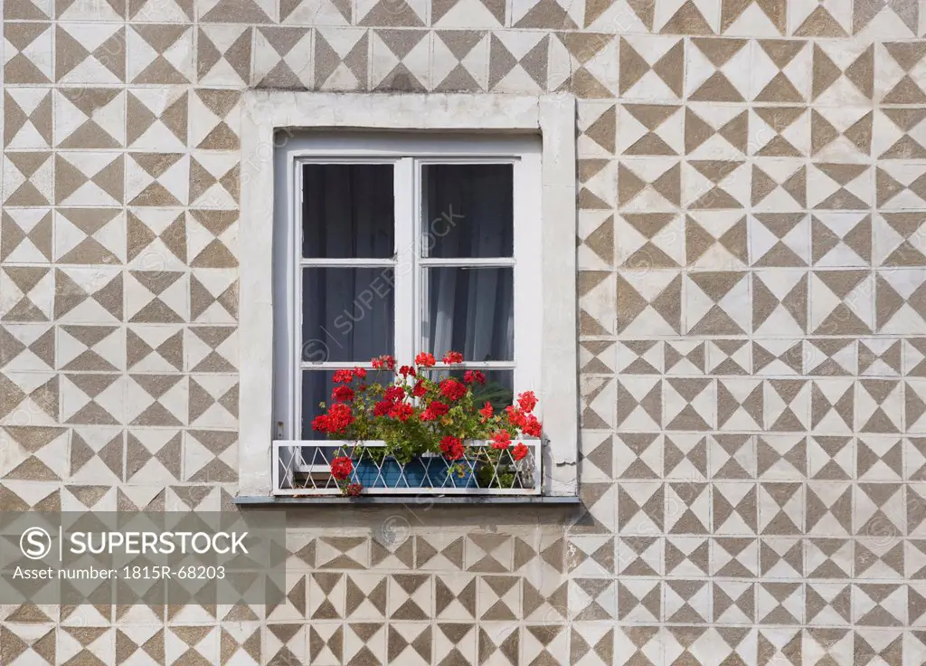 Austria, Gmuend, window, flower box
