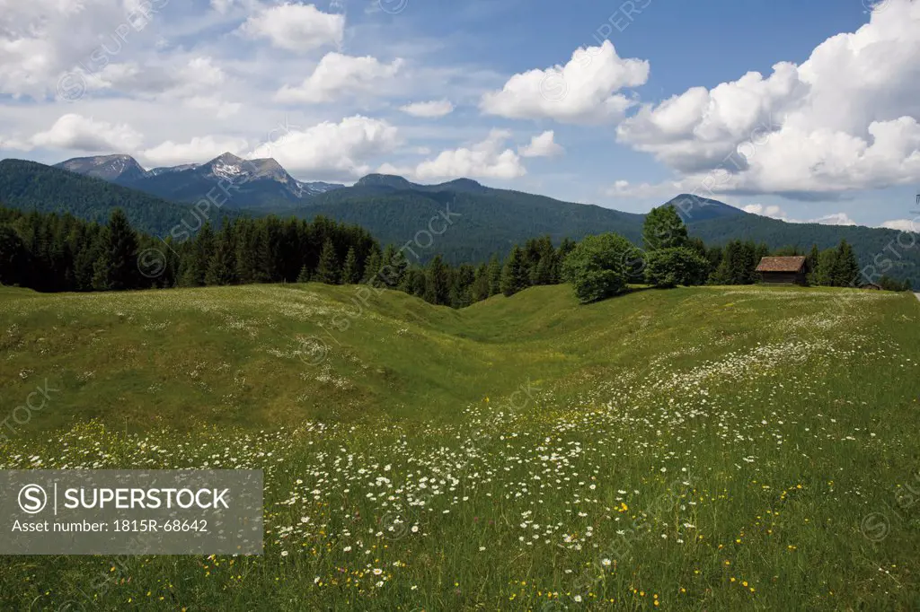 Germany, Bavaria, View of hump_meadow with karwendel mountains in background