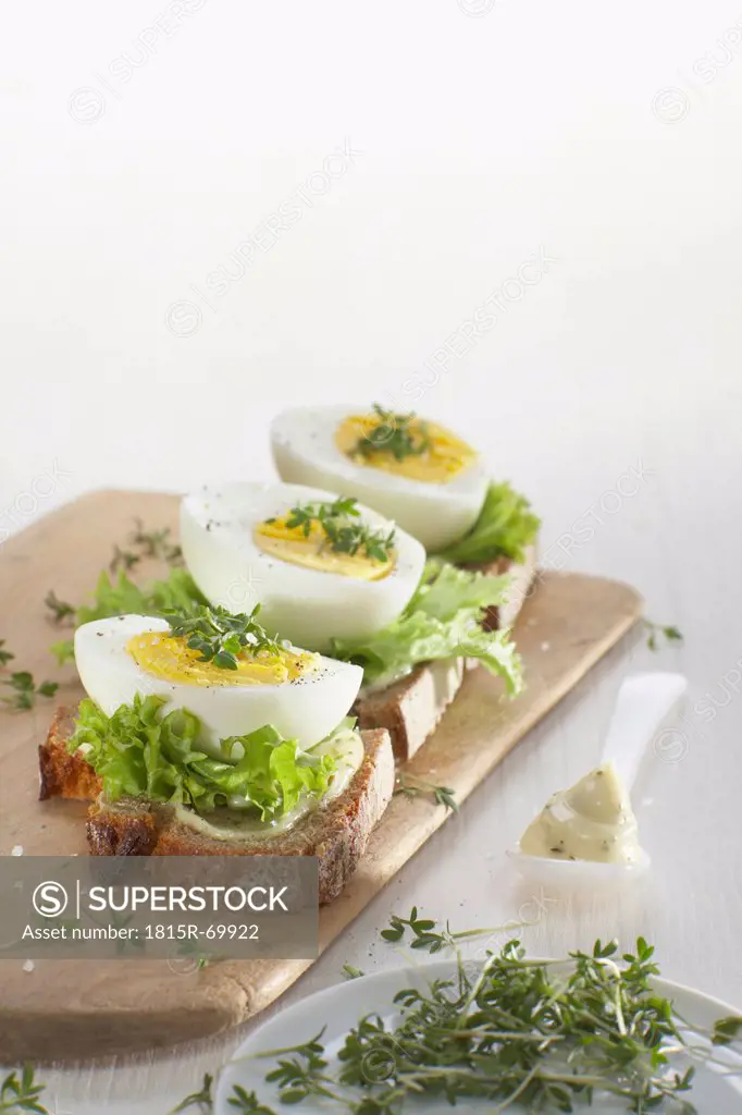 Boiled egg on rye bread garnished with cress.