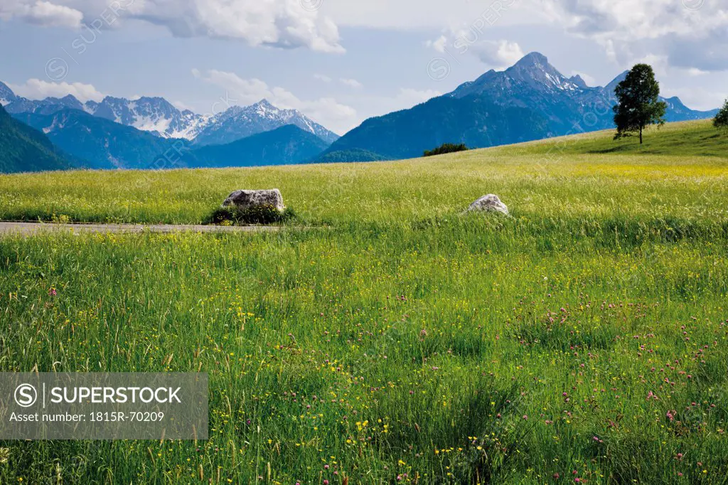 Germany, Bavaria, View of hump_meadow with karwendel mountains in background