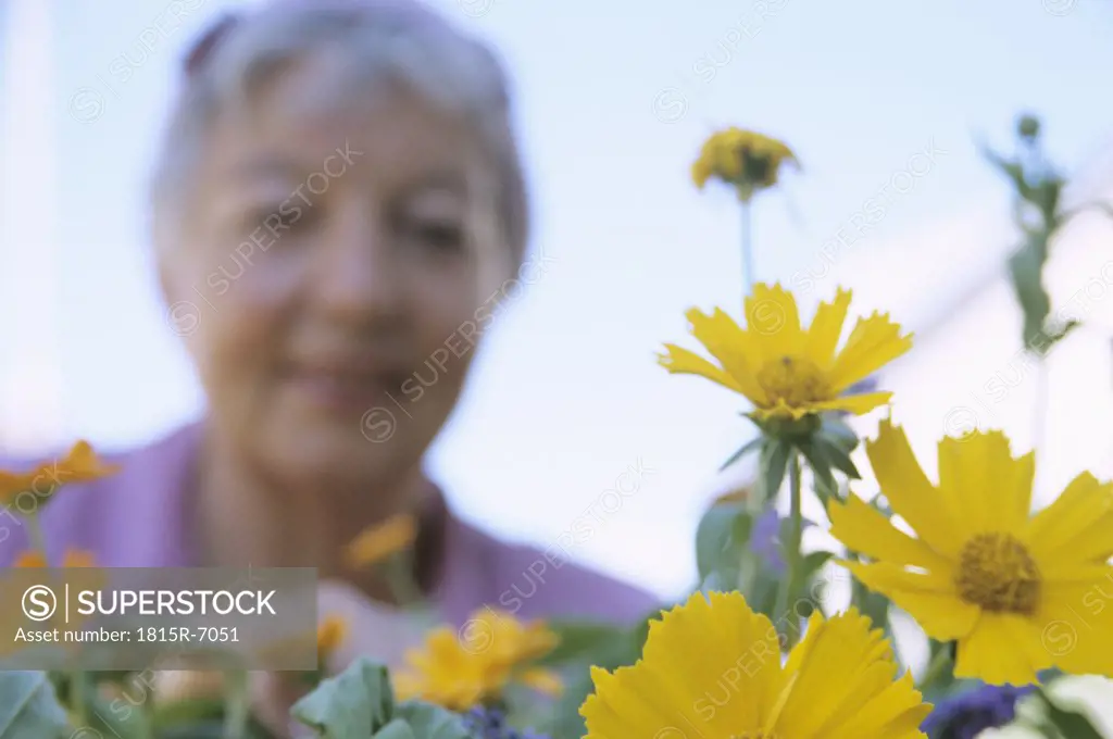 Senior woman, focus on flower