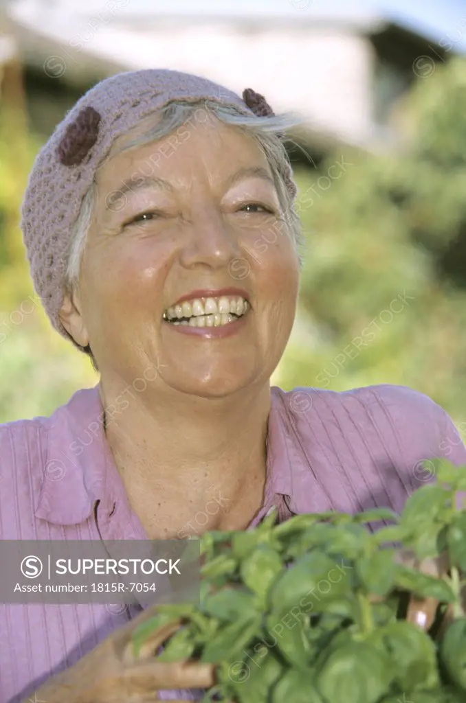 Smiling senior woman holding basil plants, close up