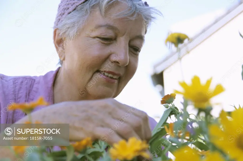 Senior woman gardening, low angle view