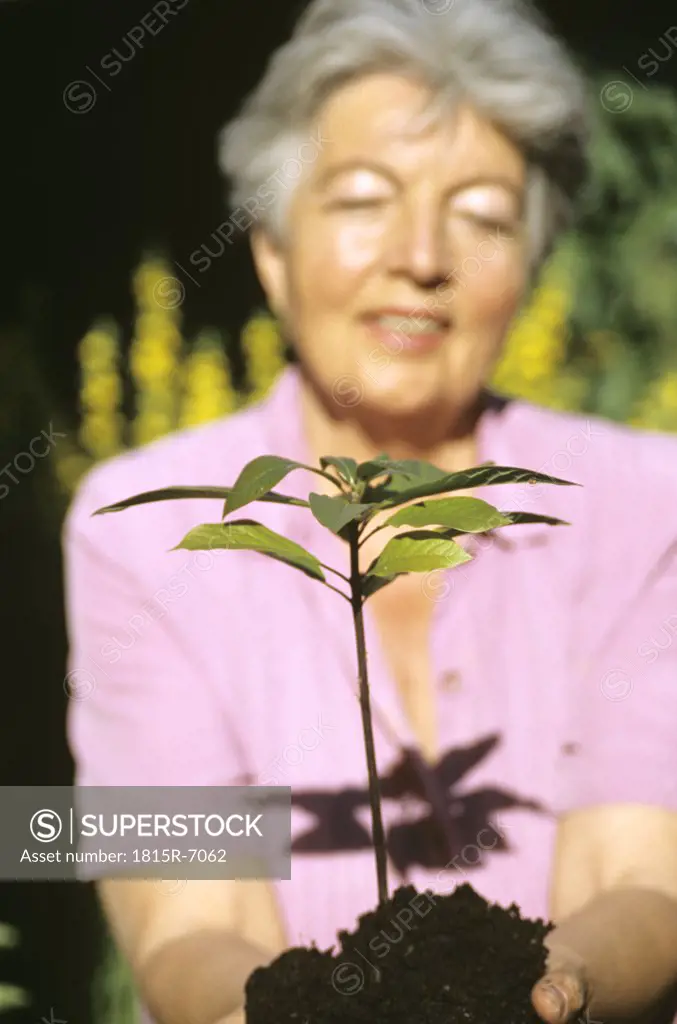 Senior woman planting, focus on foreground
