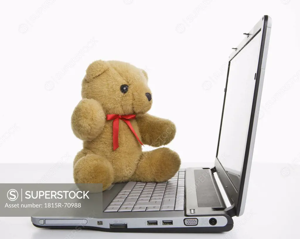 Teddy_bear on laptop, close up