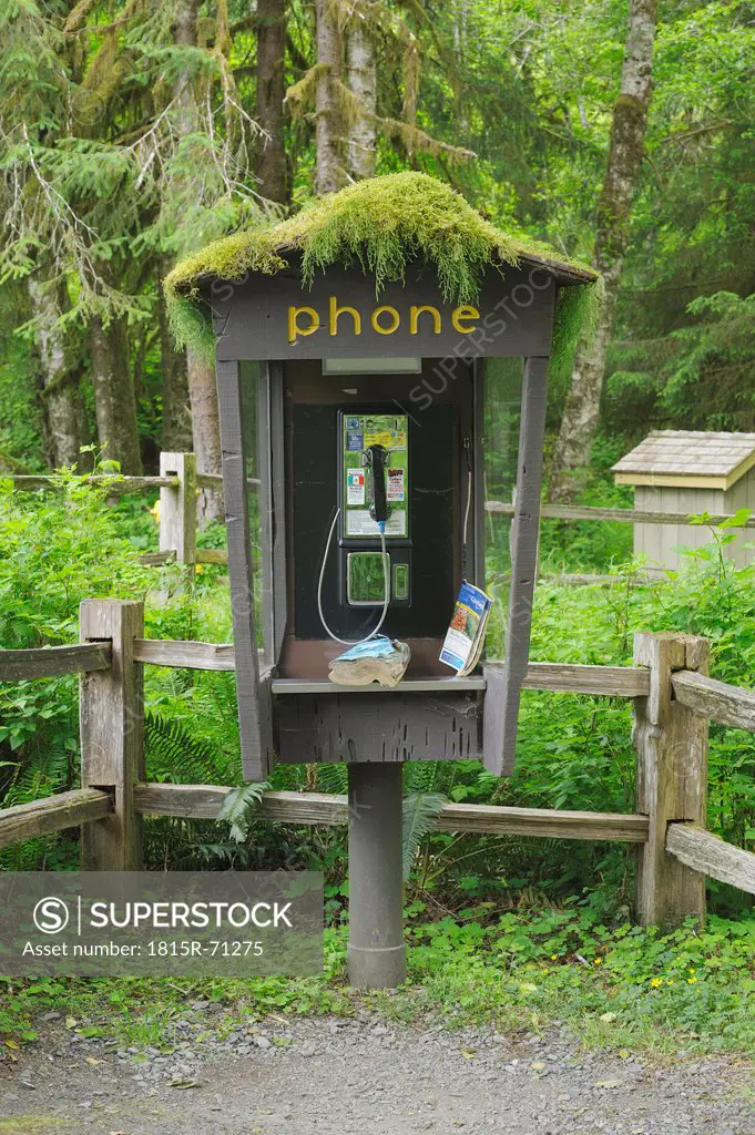 USA, Washington State, Olympic National Park, View of telephone booth at Hoh rain forest