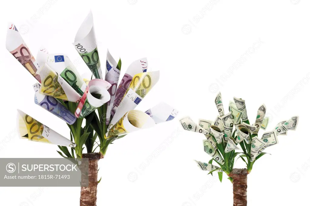 Plant with flowers made from euro and dollar notes against white background