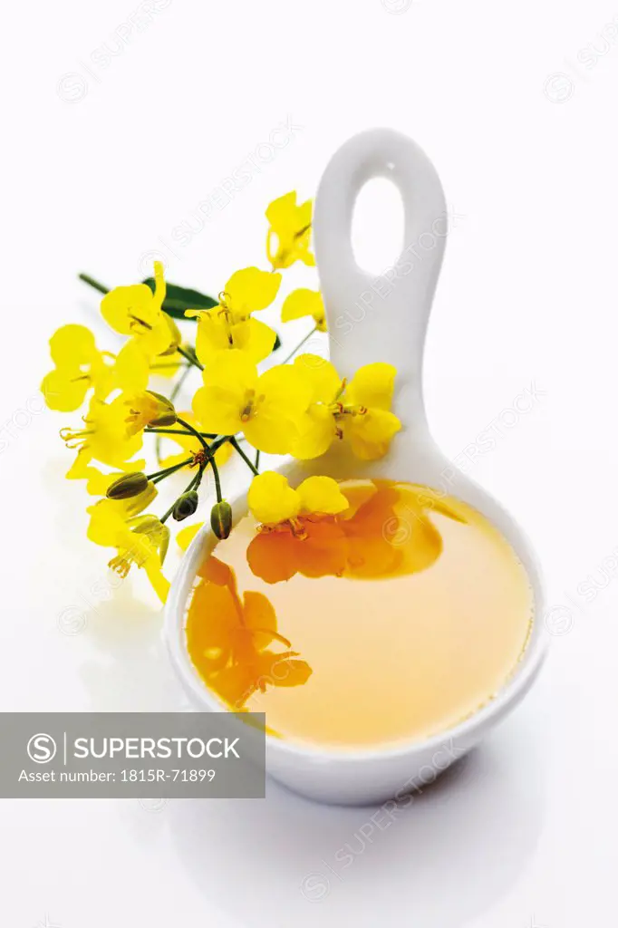 Rapeseed oil in ladle with rape blossom on white background