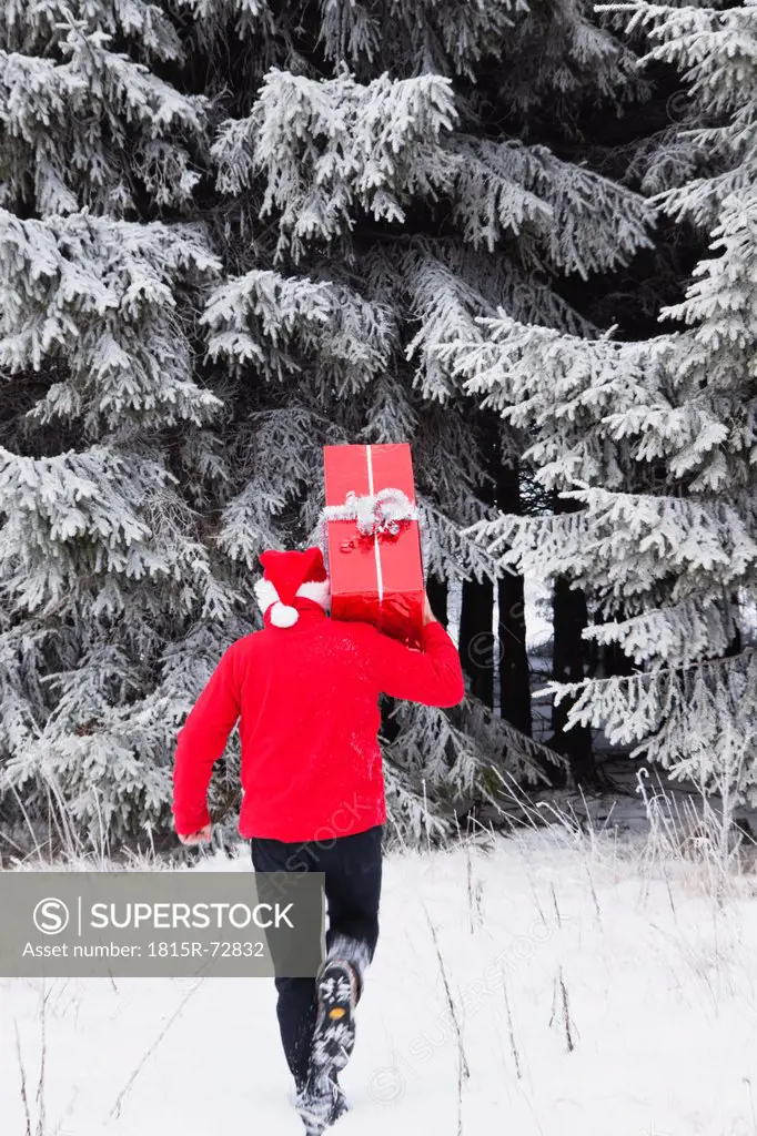 Belgium, Wallonia, High Venn, Man carrying christmas present and walking in snow