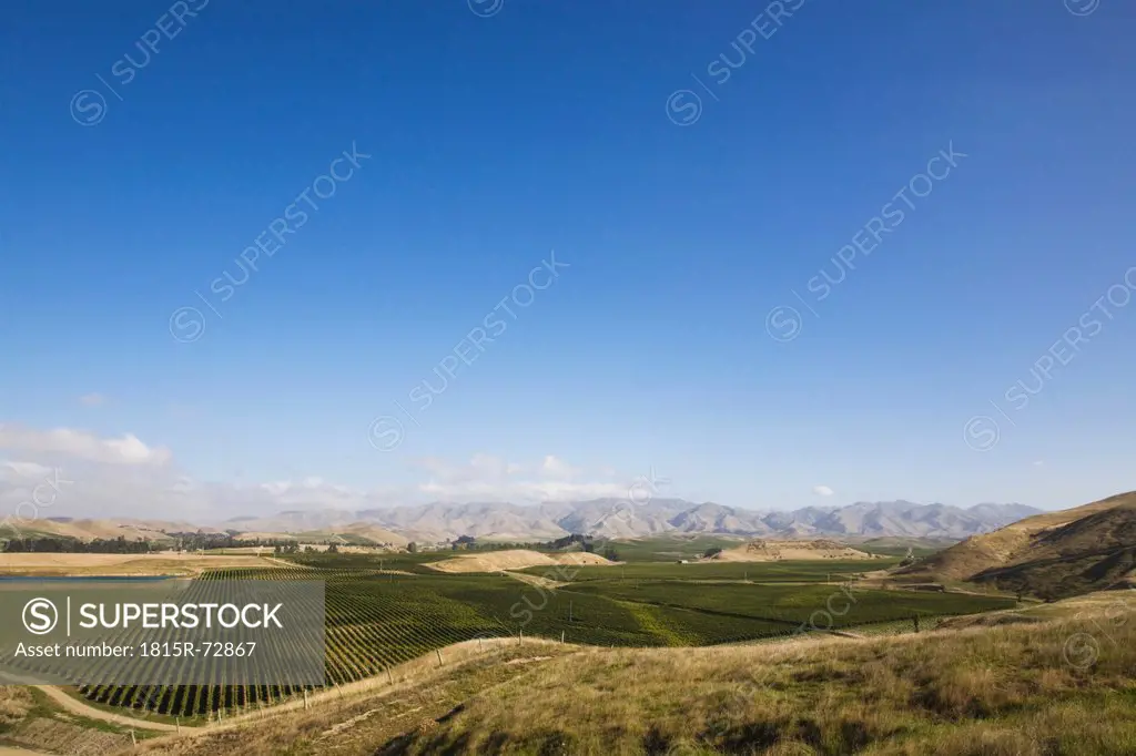 New Zealand, South Island, Marlborough, Blenheim, View of vineyard with mountains in background