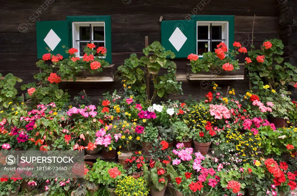 Austria, Styria, Stuebing, Wooden farmhouse with flowers