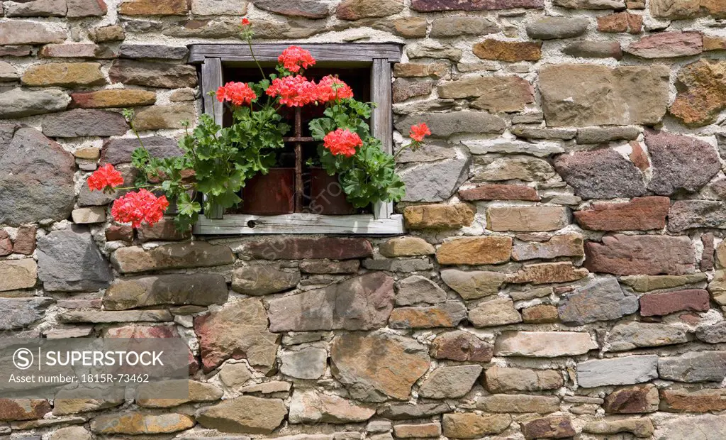 Austria, Styria, Stuebing, Stonehouse with geraniums flowers