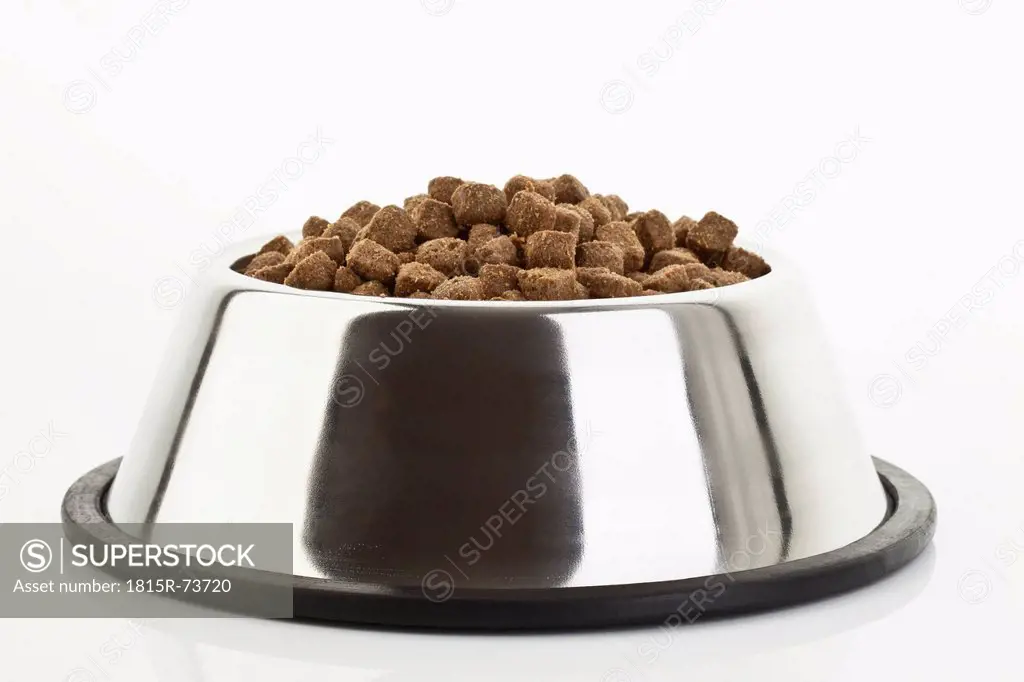 Dog food in dog bowl