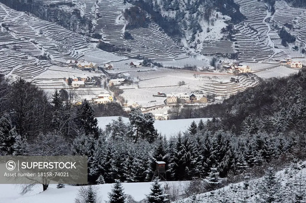 Austria, Lower Austria, Wachau, Waldviertel, View of snow covered vineyards