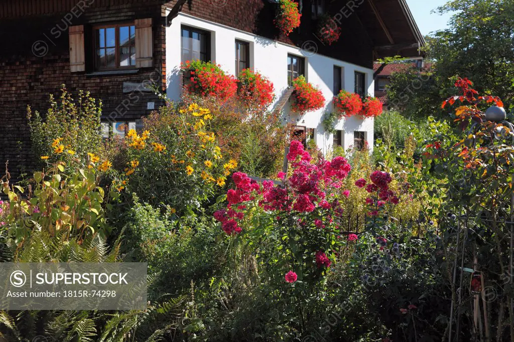 Germany, Bavaria, Swabia, Schwaben, Allgaeu, Ostallgau, View of cottage garden