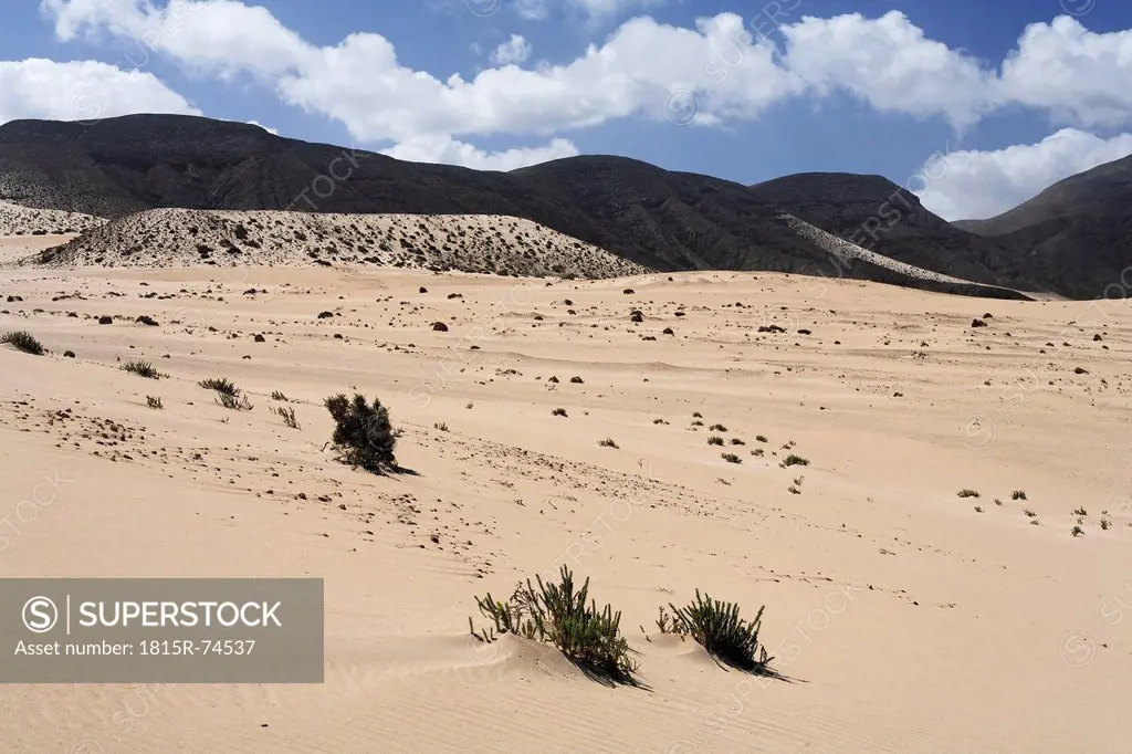 Spain, Canary Islands, Fuerteventura , El Jable, Jandia, View of sand dune
