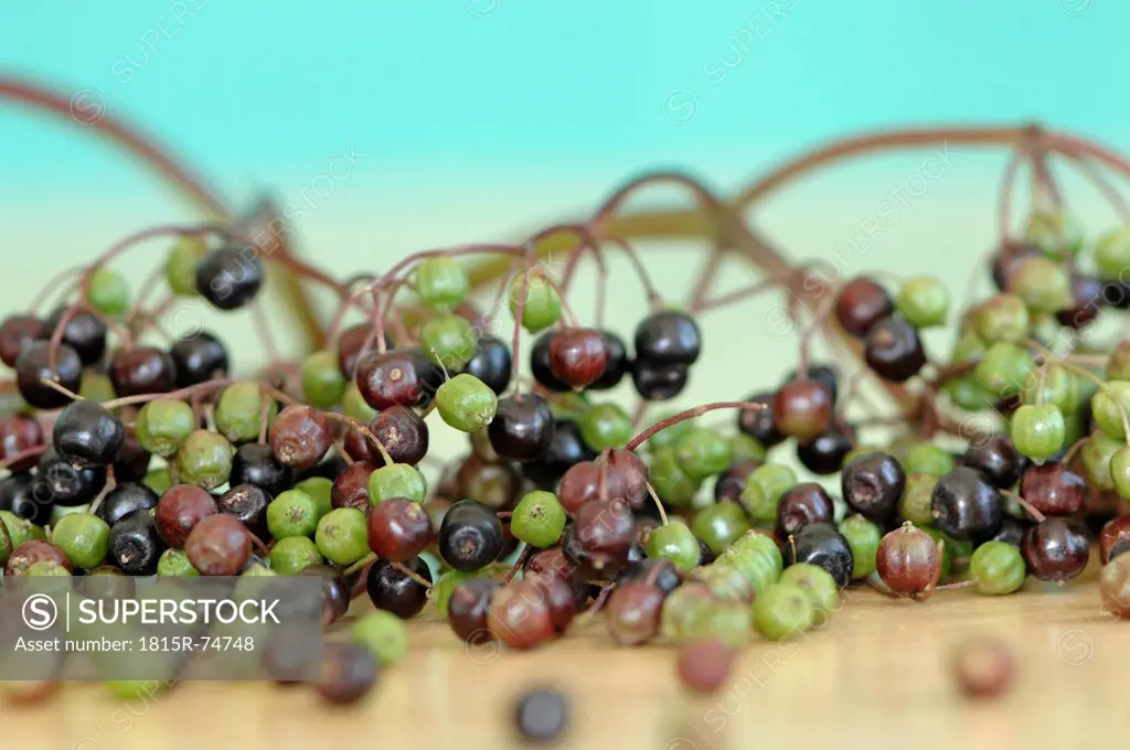 Elder fruits, close up