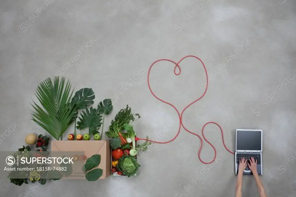 Laptop and vegetables connected through electric wire on gray background