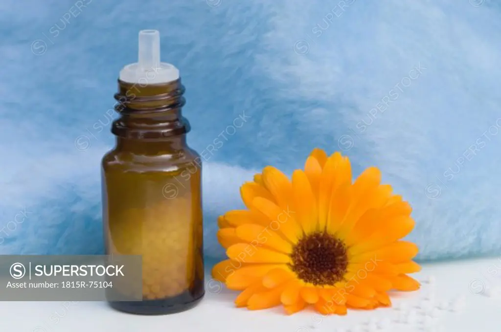 Marigold and medicine bottle on white background