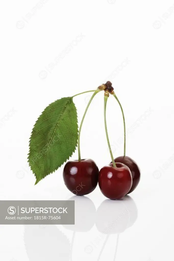 Cherries on white background, close up