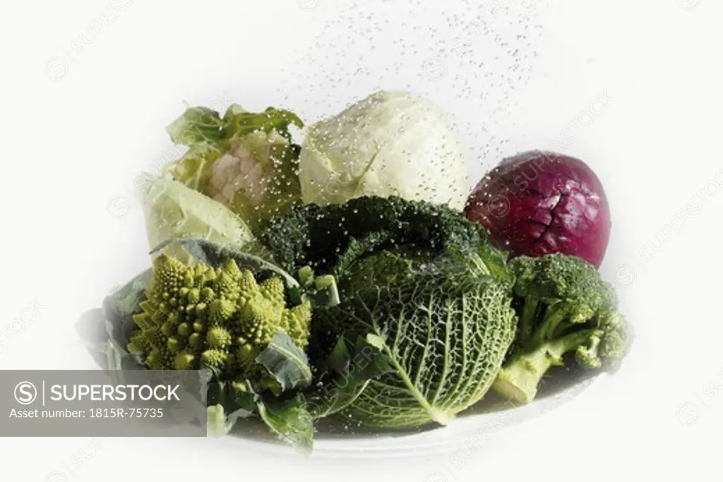 Variety of cabbage in plate against white background