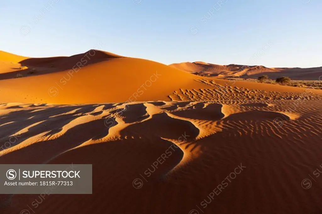 Africa, Namibia, Namib Naukluft National Park, View of sand dunes in the namib desert