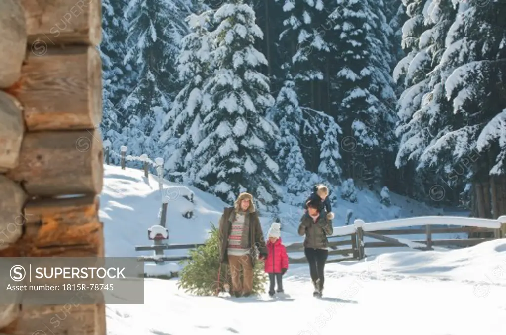 Austria, Salzburg Country, Flachau, View of family carrying christmas tree and sledge in snow