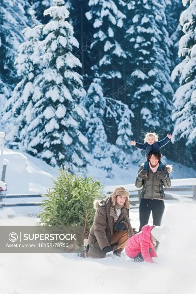 Austria, Salzburg Country, Flachau, View of family with christmas tree and sledge playing in snow