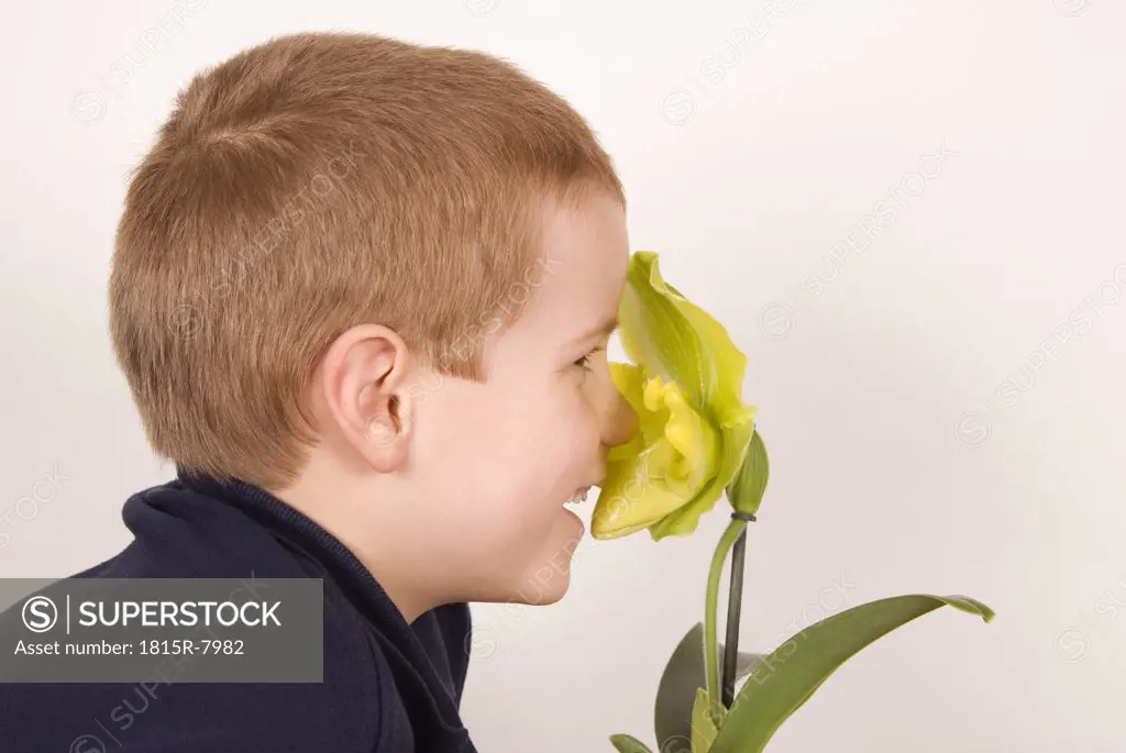 Boy (10-11) nosing a flower, portrait