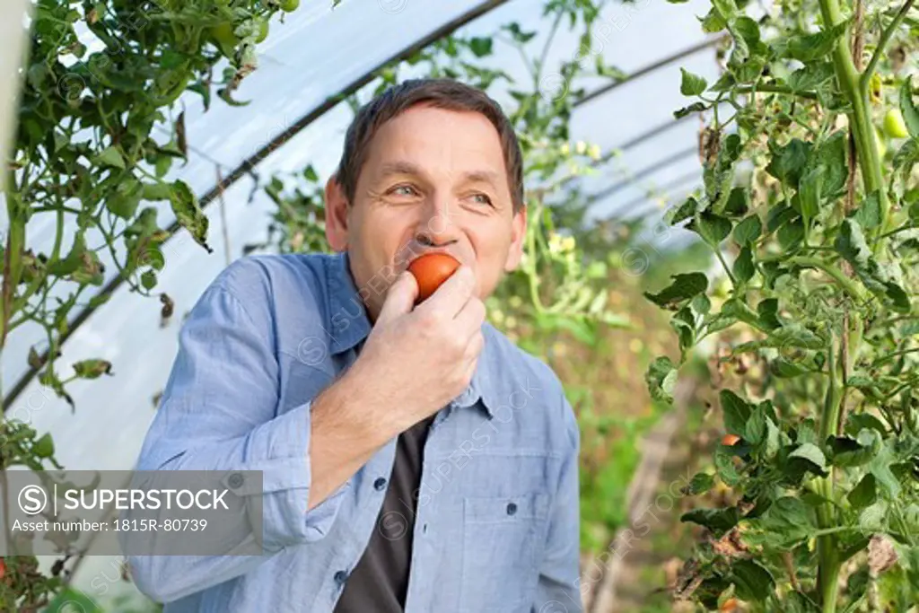Germany, Saxony, Mature man tasting tomato at the farm
