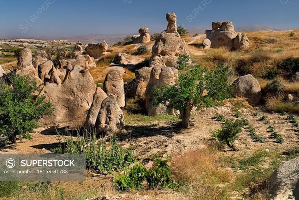 Turkey, Cappadocia, Goreme, View of sword valley