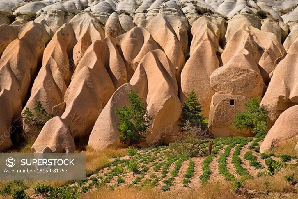 Turkey, Cappadocia, Goreme, View of rose valley