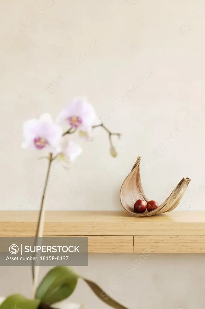 Fruit bowl with apple, orchid in foreground