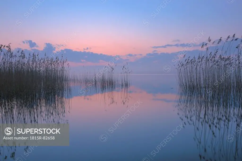 Germany, Mecklenburg_Vorpommern, Mecklenburger Seenplatte, Plau am See, View of sunrise with reeds and reflection in lake