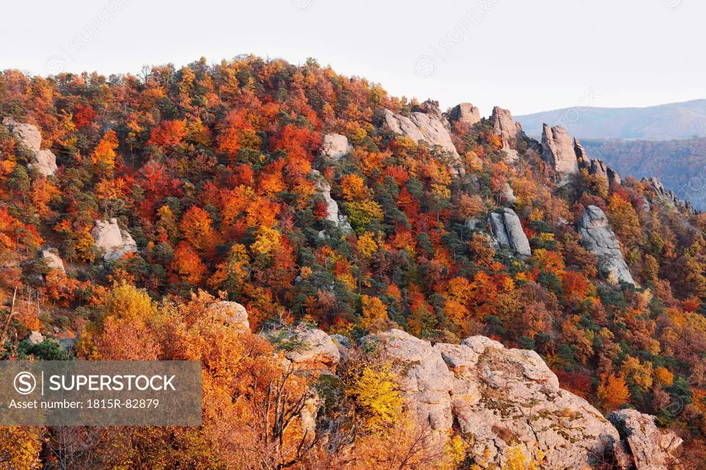 Austria, Lower Austria, Waldviertel, Wachau, View of forest and rock formations in autumn near Duernstein