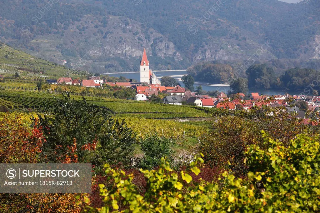 Austria, Lower Austria, Waldviertel, Wachau, Weissenkirchen, View of Vineyard and village with Danube river