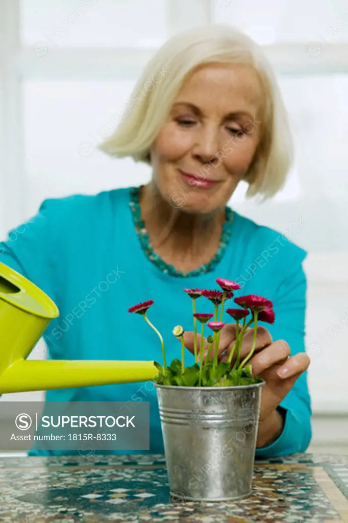 Senior woman watering houseplant, close-up
