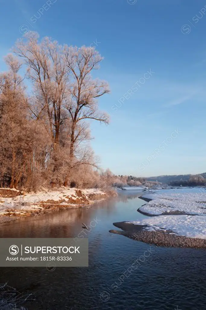 Germany, Upper Bavaria, Geretsried, View of trees and river isar
